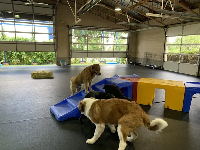 Rob Cary Pet Resort Picture 3