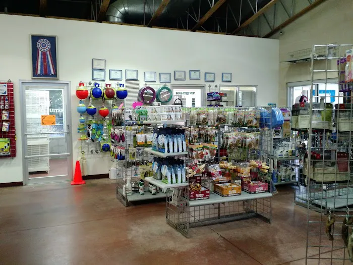 Rob Cary Pet Resort Picture 8
