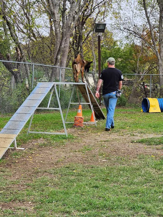Rob Cary Pet Resort Picture 2