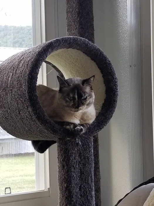 Centre County Cat Hospital Picture 2