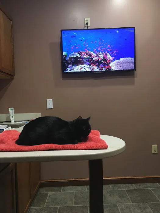 Centre County Cat Hospital Picture 4