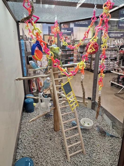 Petco Picture 6