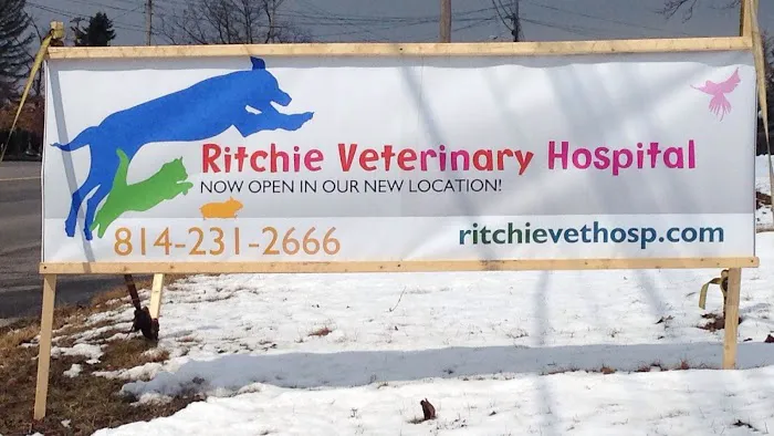 J M Ritchie Veterinary Hospital Picture 1
