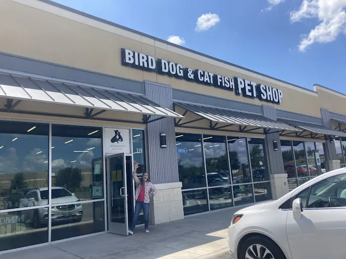Bird Dog & Cat Fish Picture 5