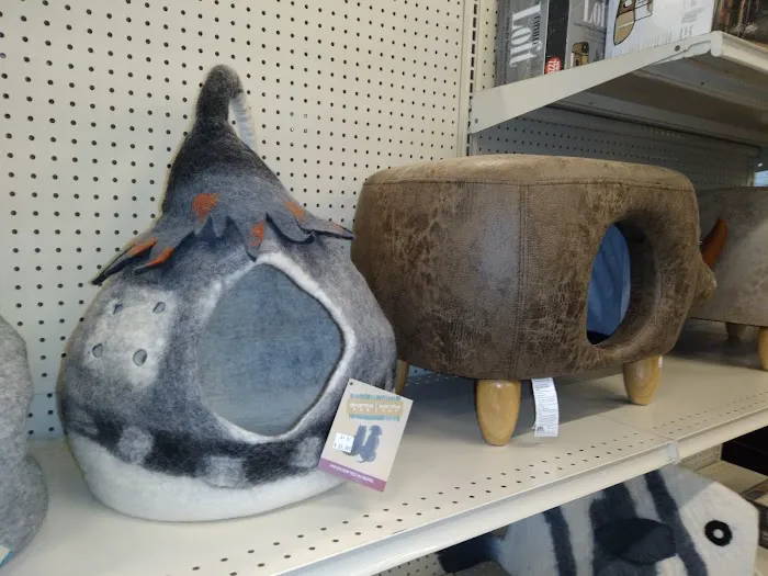 Bird Dog & Cat Fish Picture 2