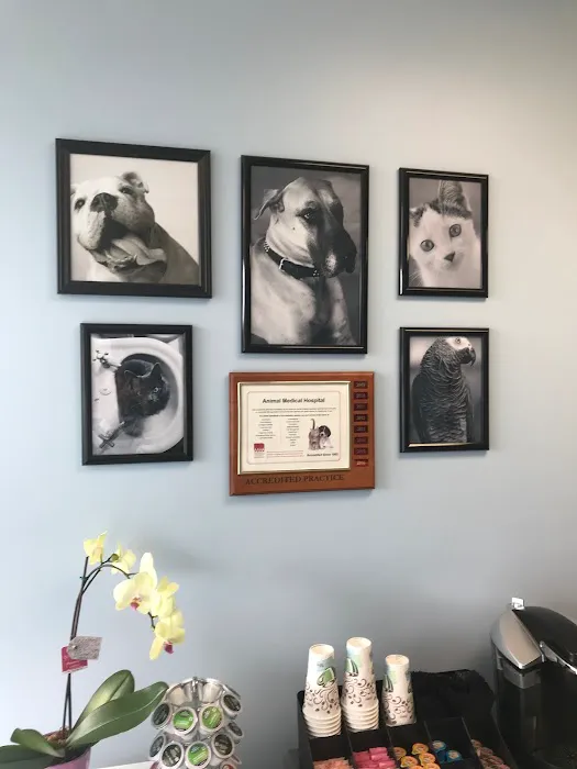 Keystone Veterinary Care Picture 1