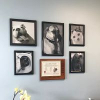 Keystone Veterinary Care ico