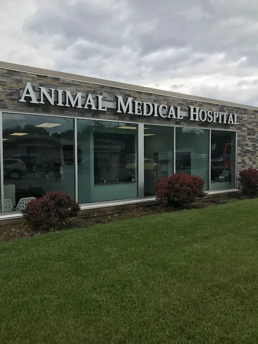 Keystone Veterinary Care Picture 5