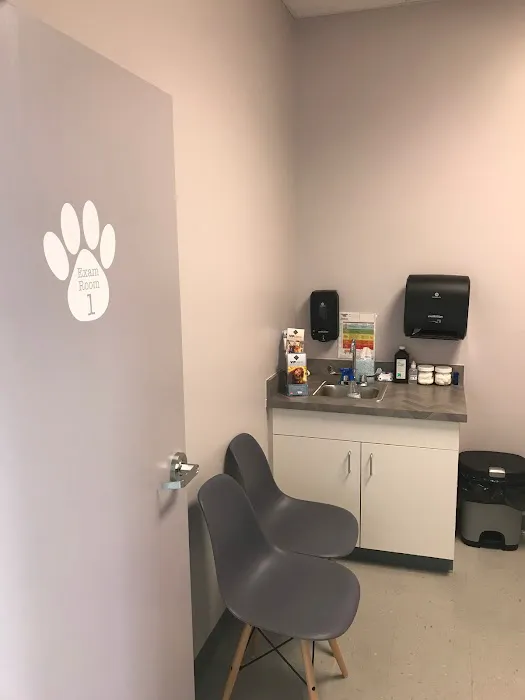 Keystone Veterinary Care Picture 6