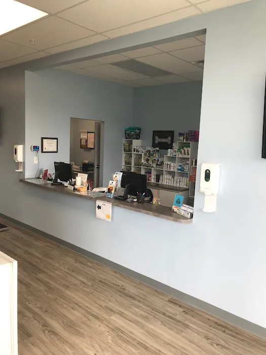Keystone Veterinary Care Picture 2