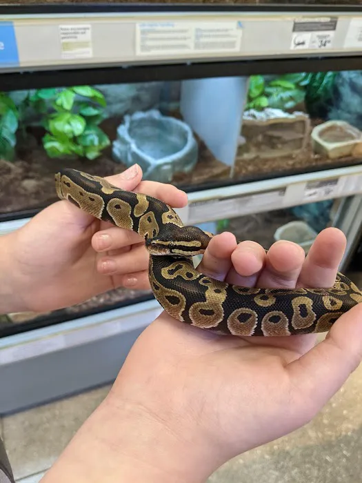 Petco Picture 10