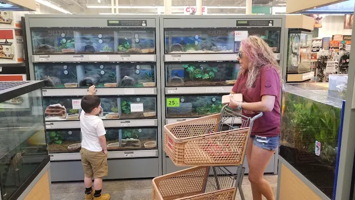 Petco Picture 2