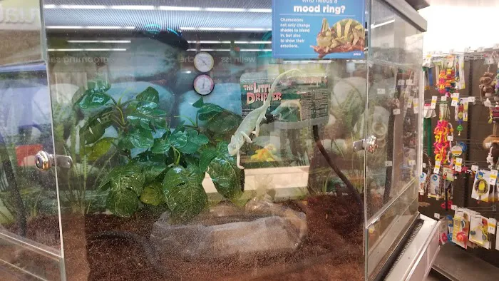 Petco Picture 1
