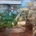 Petco