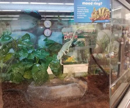 Petco