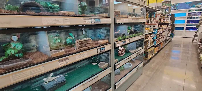 Petco Picture 6