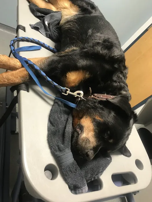 Mt. Rock Animal Hospital Picture 1