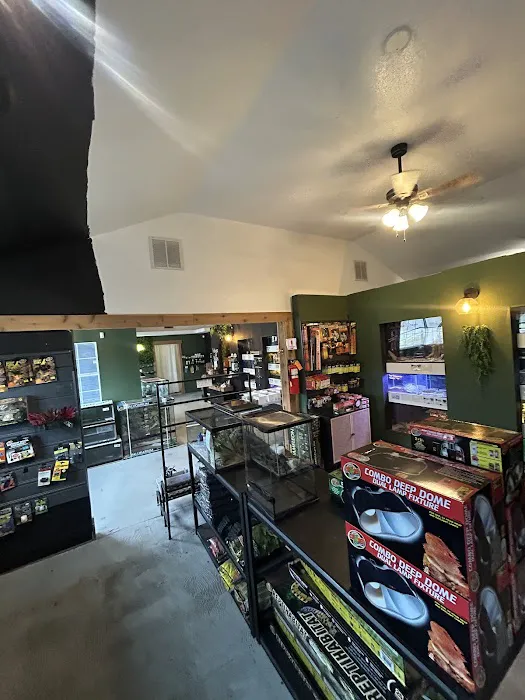 House Of Webs Picture 1
