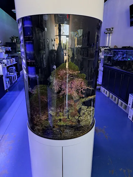 Sea Hare Aquatics Picture 10