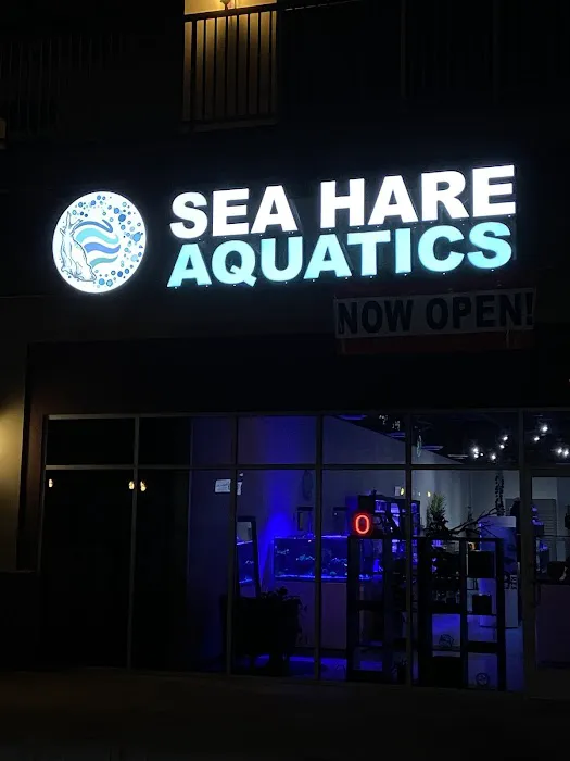 Sea Hare Aquatics Picture 1