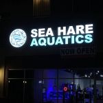 Sea Hare Aquatics