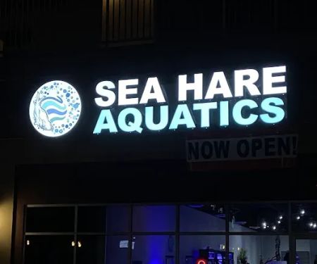 Sea Hare Aquatics