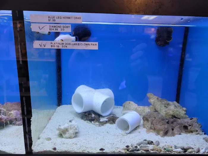 Aquarium Designs Picture 7