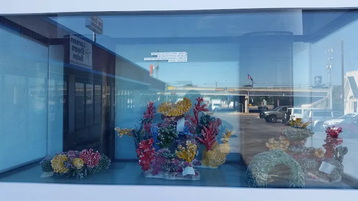 Aquarium Designs Picture 1