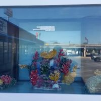 Aquarium Designs ico