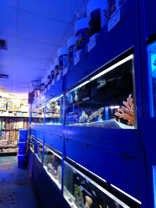 Aquarium Designs Picture 8