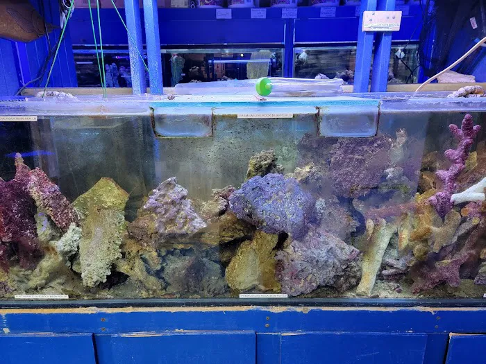 Aquarium Designs Picture 3