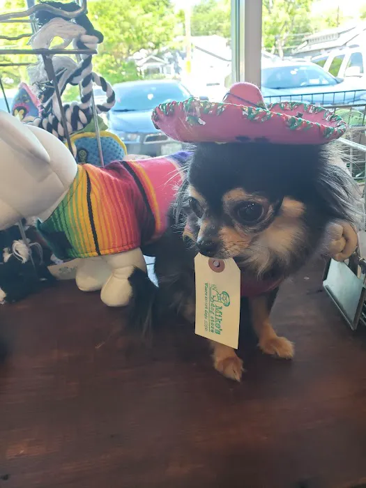 Mike's Dog Store Picture 1