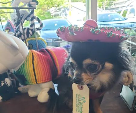 Mike's Dog Store