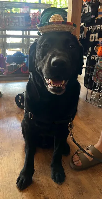 Mike's Dog Store Picture 4
