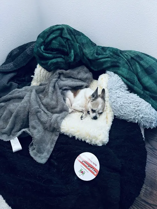 Mike's Dog Store Picture 10