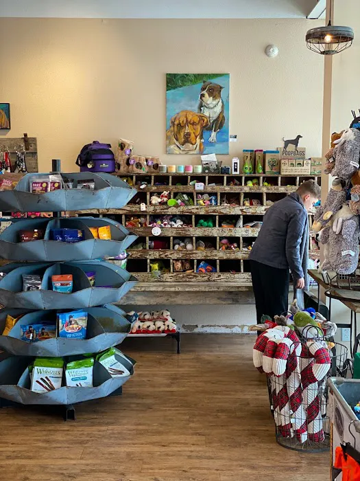 Mike's Dog Store Picture 6