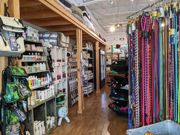Mike's Dog Store Picture 8