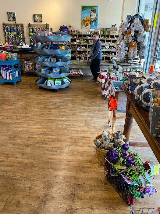 Mike's Dog Store Picture 5
