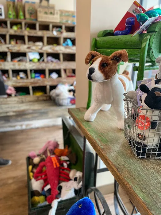 Mike's Dog Store Picture 9