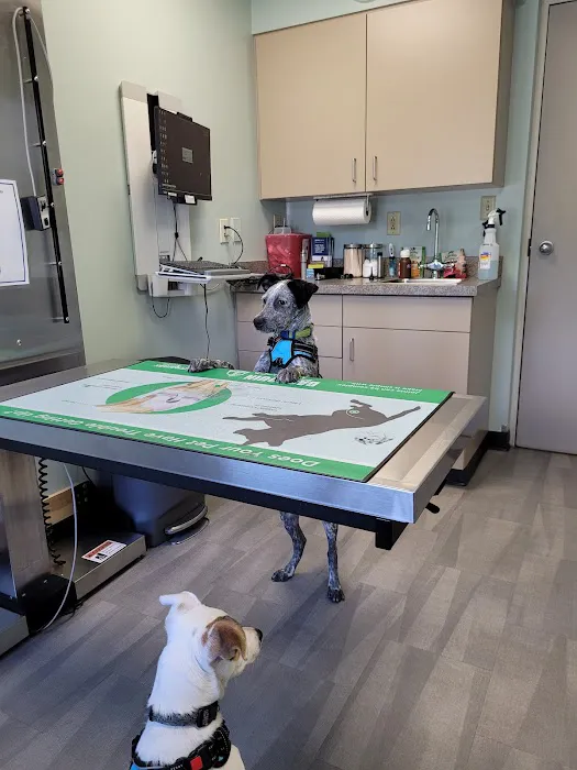 Chambersburg Animal Hospital Picture 4