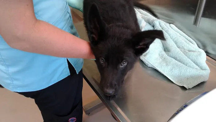 Chambersburg Animal Hospital Picture 5