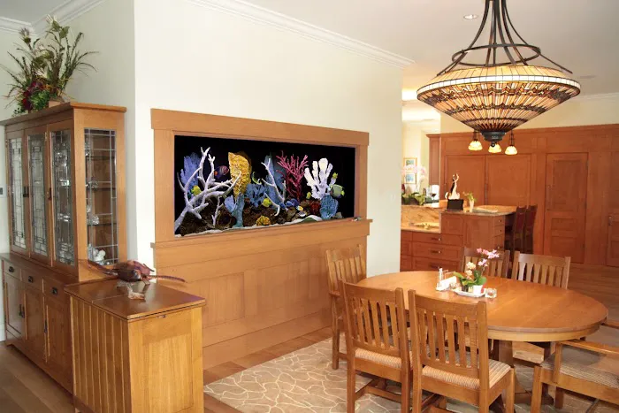 Aquatic Interiors Unlimited Picture 7