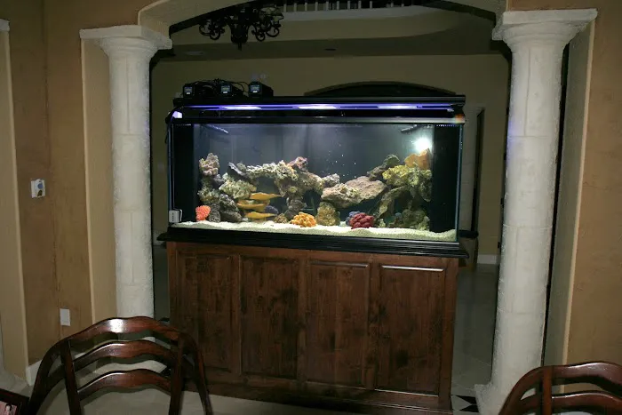 Aquatic Interiors Unlimited Picture 6