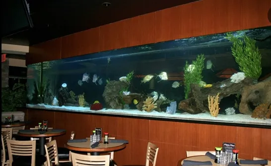 Aquatic Interiors Unlimited Picture 10