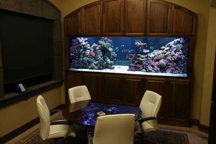 Aquatic Interiors Unlimited Picture 4
