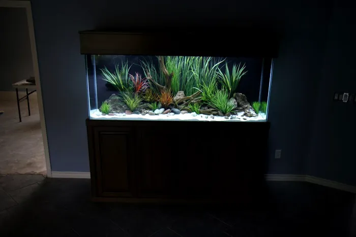 Aquatic Interiors Unlimited Picture 2