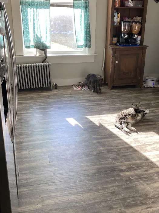 Oak Hollow Animal Hospital Picture 7