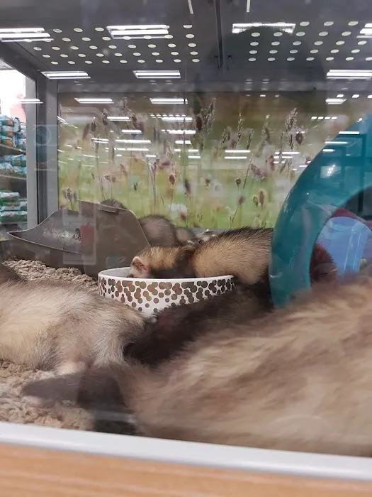 Petco Picture 1