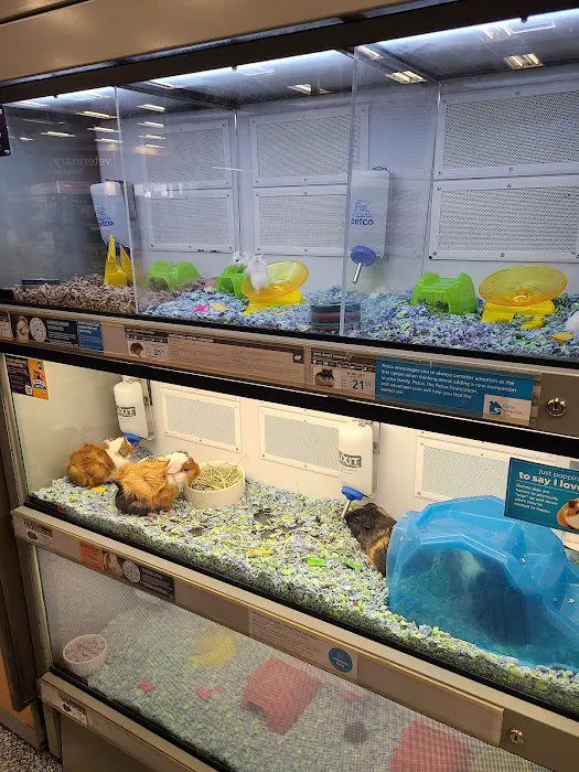Petco Picture 9