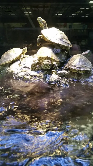 Petco Picture 8